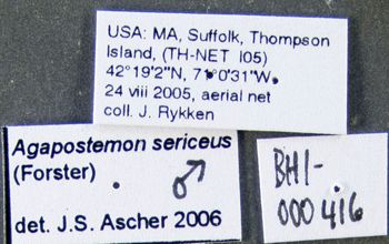 Media type: image;   Entomology 606441 Aspect: labels